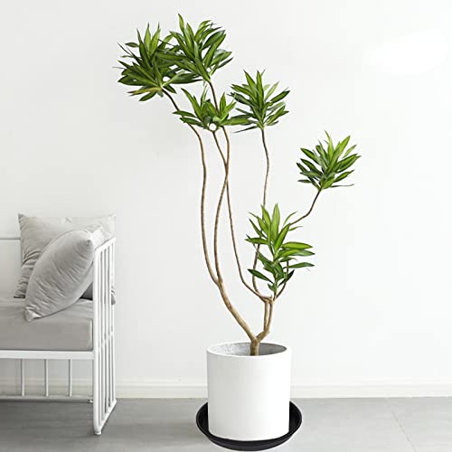 Bleuhome plant saucer indoor outdoor use blends with decor.