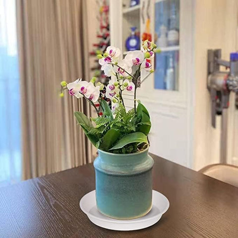 Bleuhome indoor-outdoor use, weather resistant for any space.