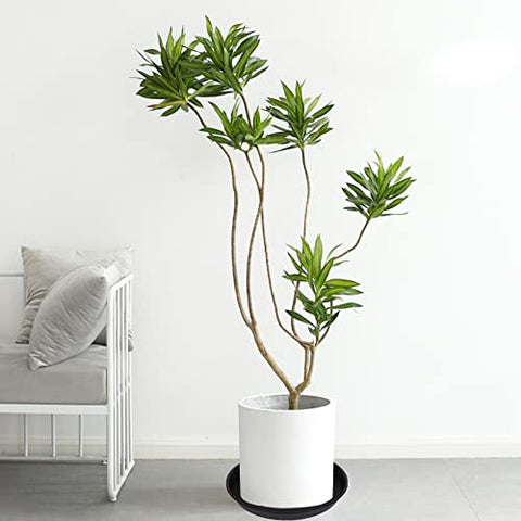 Bleuhome plant saucer tray catches water to protect surfaces.