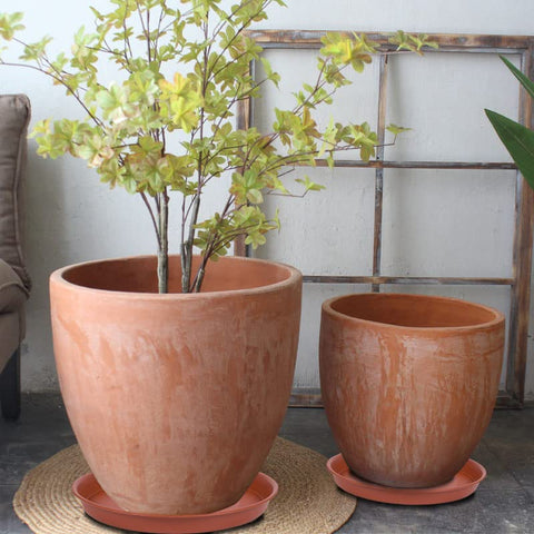 Bleuhome plant saucer with pots demonstrates mess-free indoor/outdoor use