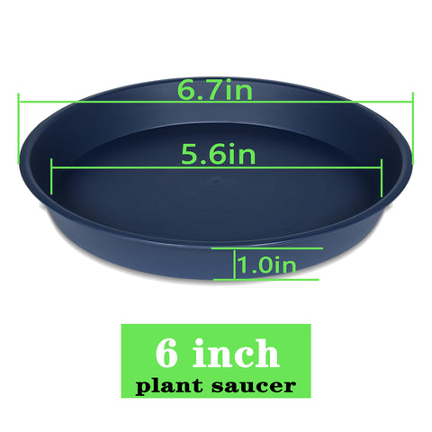 Bleuhome plastic plant tray blue 6-inch, durable indoor-outdoor drainage for pots.