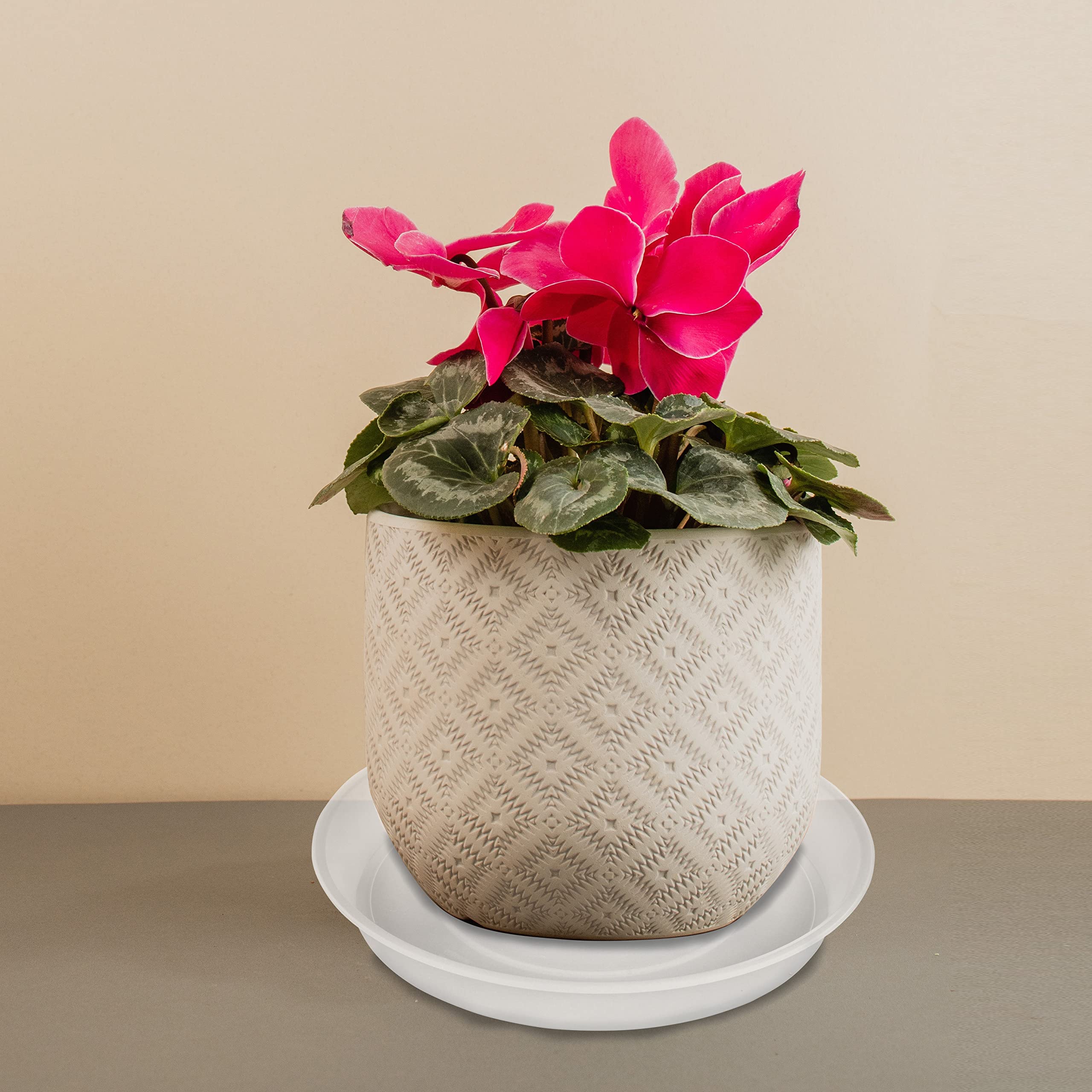Bleuhome saucer under pot catches overflow to keep surfaces clean.