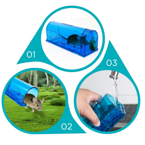 Blinc mouse trap catch mechanism demonstrates no-kill release.