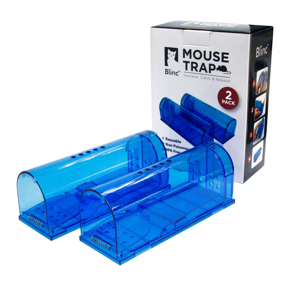 Two-pack trap set for multiple indoor and outdoor spots.
