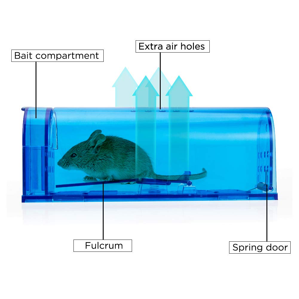 No-touch release via sliding door ensures hygienic outdoors liberation.