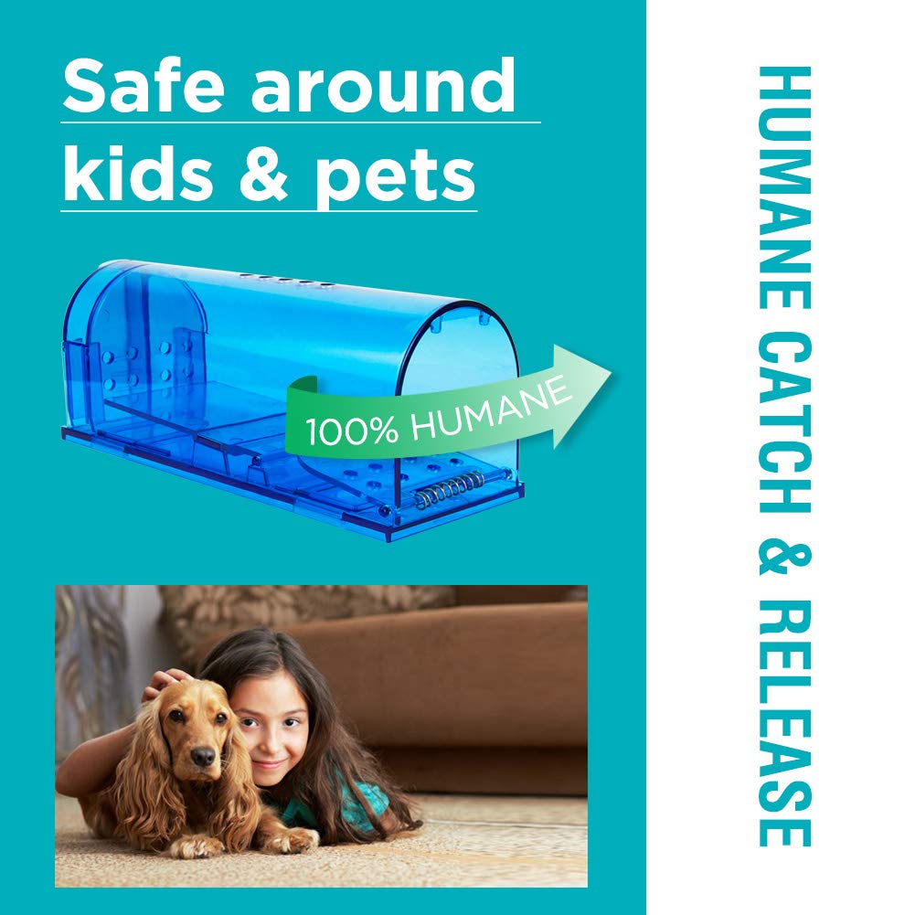 Ideal for kitchens pantries and garages as a humane solution.