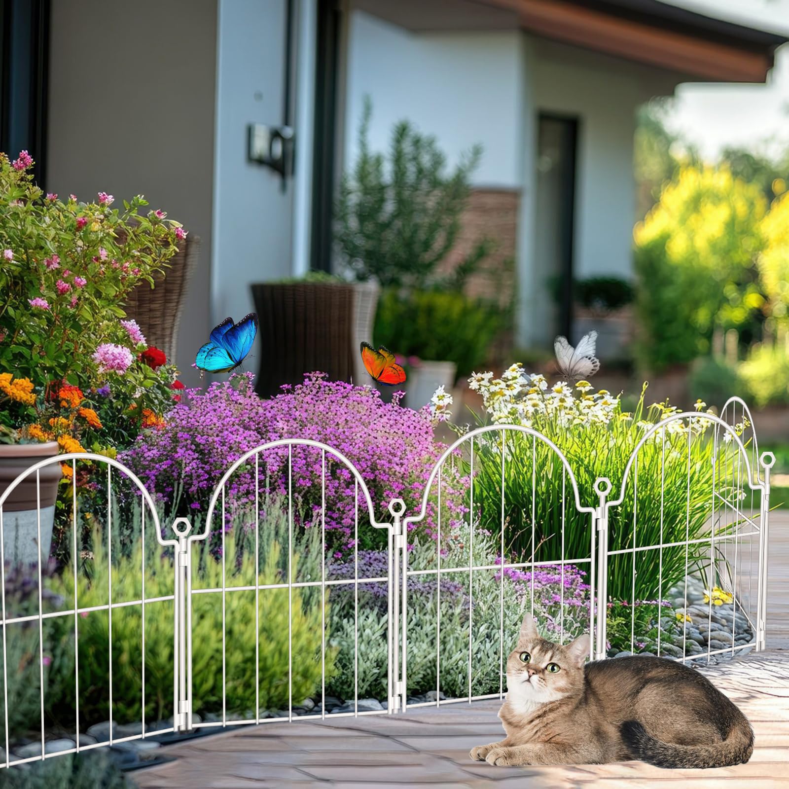 Blingluck arch panel fence arranged in a row creates a neat, pet-friendly perimeter.