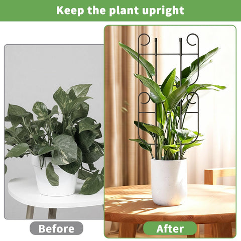 Blingluck expandable height adjustment trellis helps match plant growth.