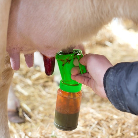Blisstime Teat Dip Cup Green ready refill enables fast re-use between animals.