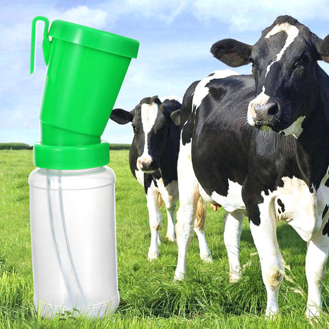 Blisstime Teat Dip Cup Green upper cup and cap ensure a secure, leak-free seal.