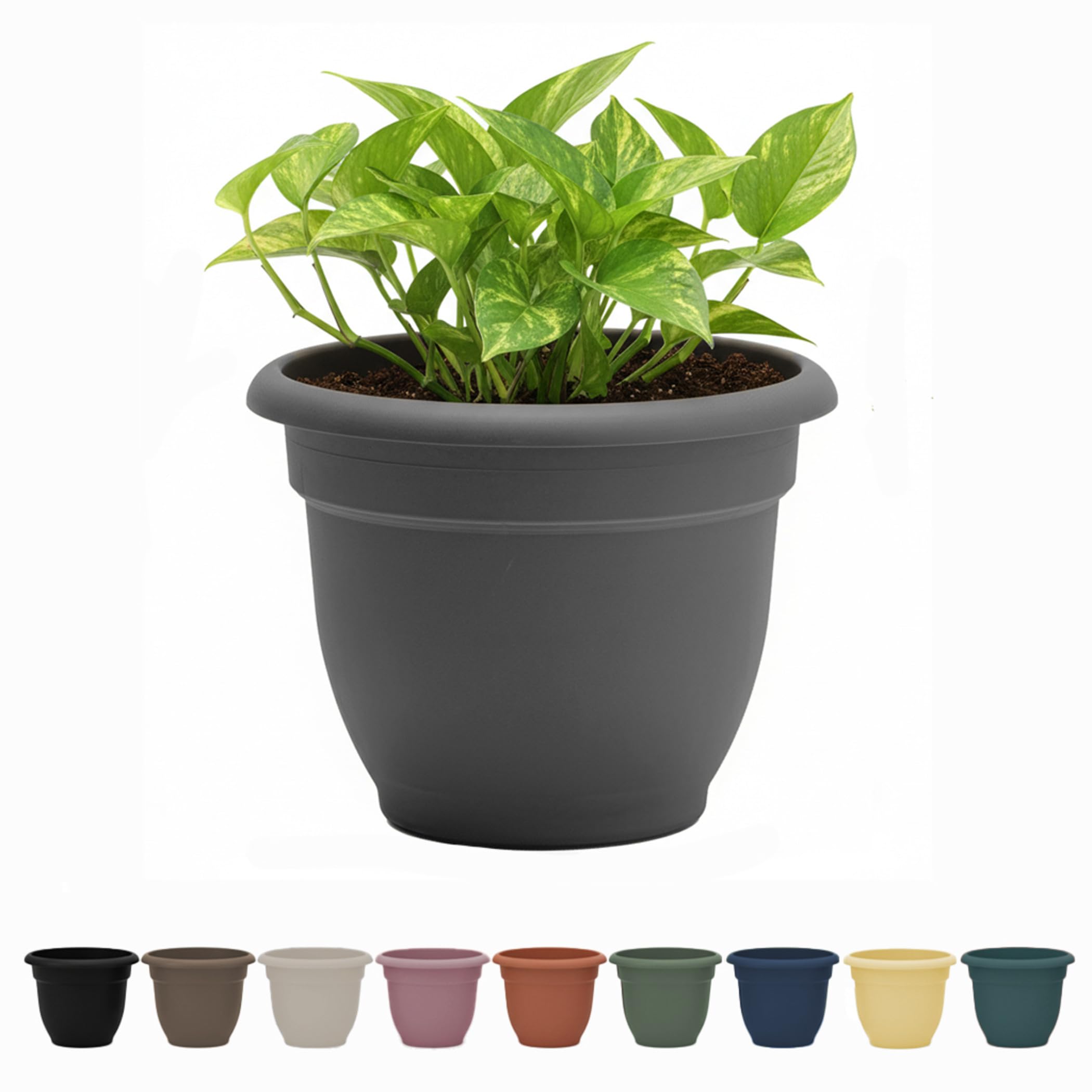Bloem Ariana 8-inch charcoal round planter with a compact silhouette for apartments.