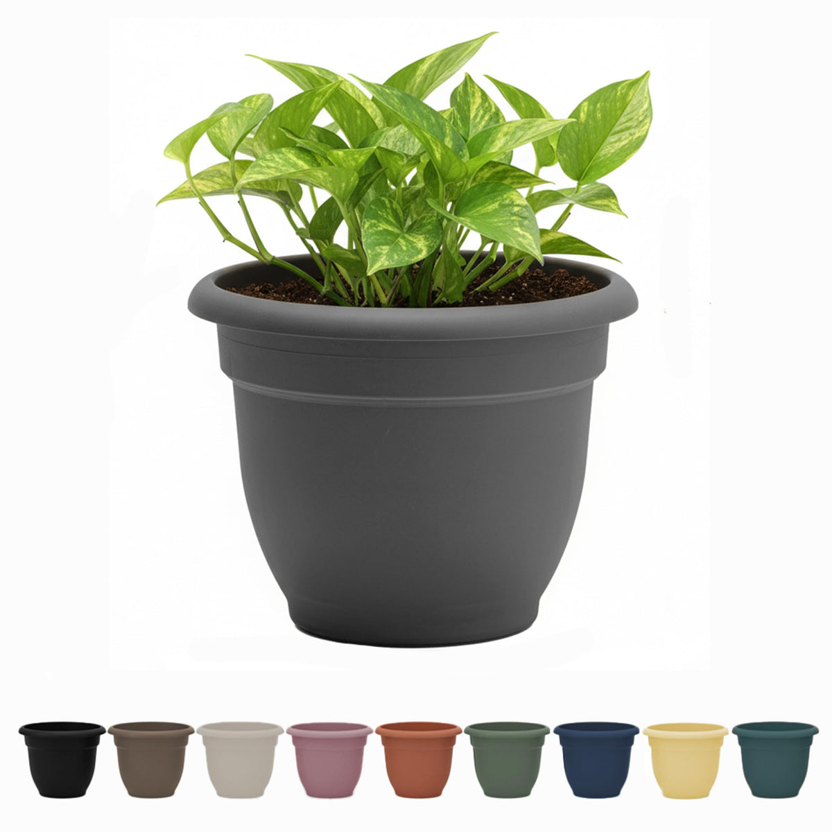 Bloem Ariana 8-inch charcoal round planter with a compact silhouette for apartments.
