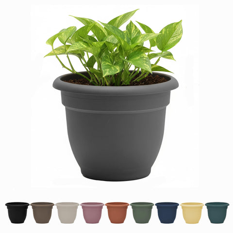 Bloem Ariana 8-inch charcoal round planter with a compact silhouette for apartments.