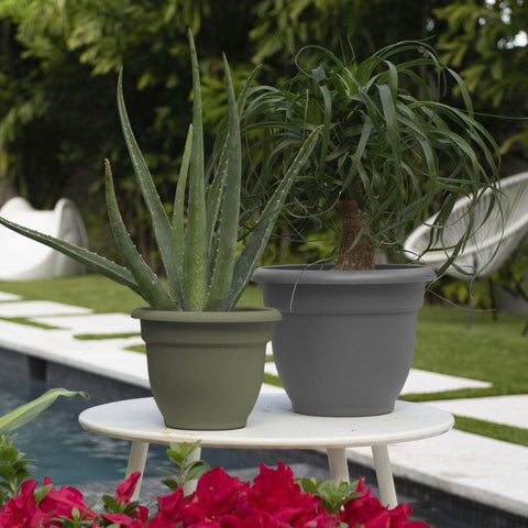 Bloem Ariana hidden water reservoir emphasizes consistent moisture for indoor plants.
