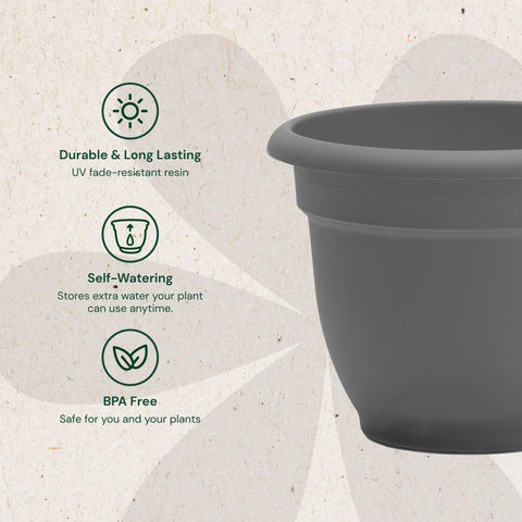 Bloem Ariana self-watering disk inside demonstrates reliable moisture supply for busy owners.