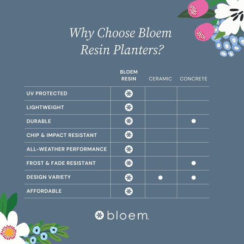 Bloem Ariana UV-protected resin keeps colors vibrant outdoors.