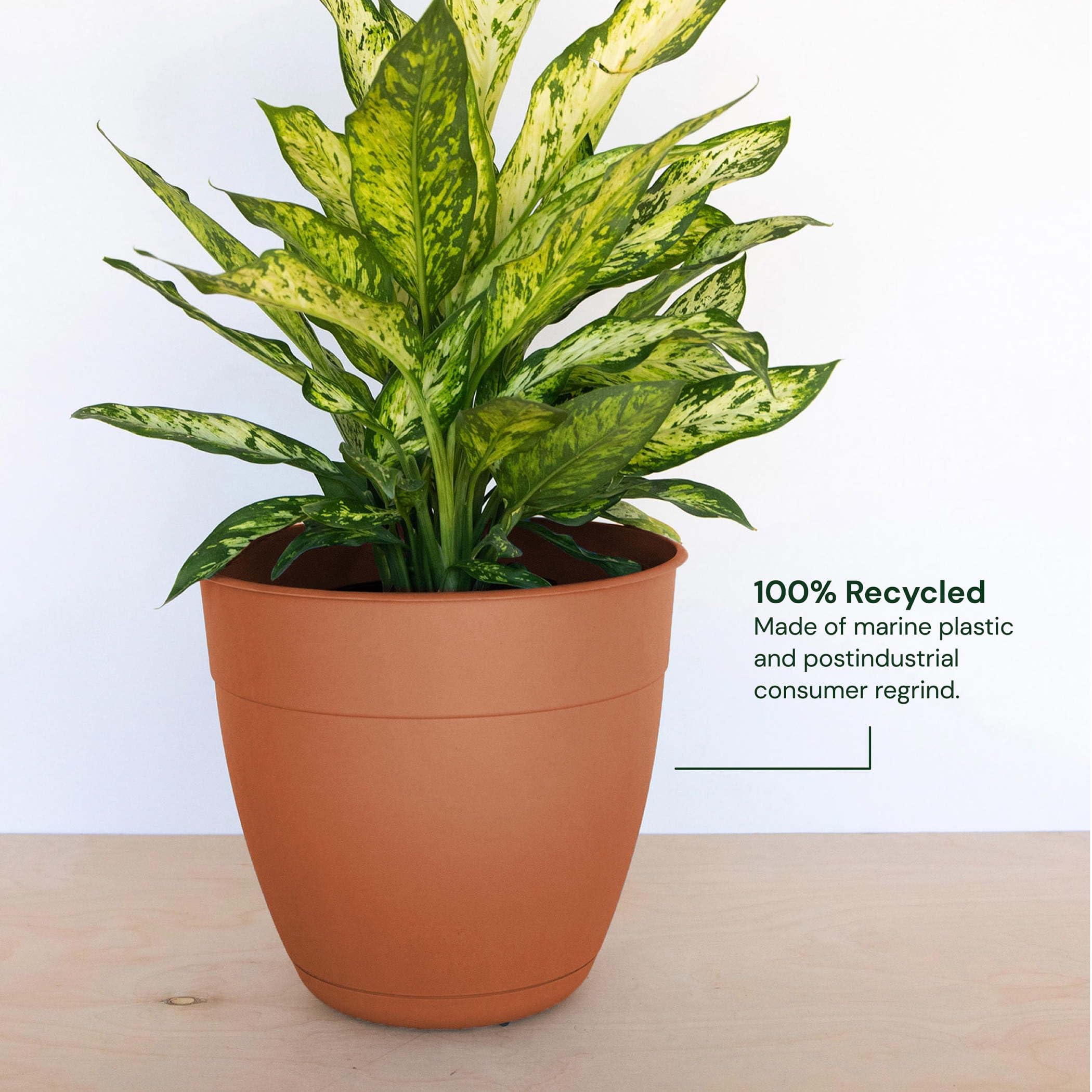 Bloem Dayton planter elevated feet promote drainage and moisture control.