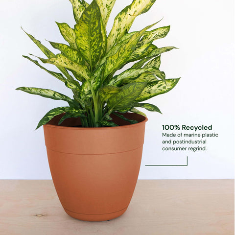 Bloem Dayton planter elevated feet promote drainage and moisture control.
