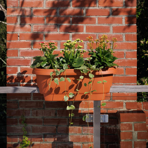Bloem Deck Balcony Rail Planter with optional drainage holes for moisture control