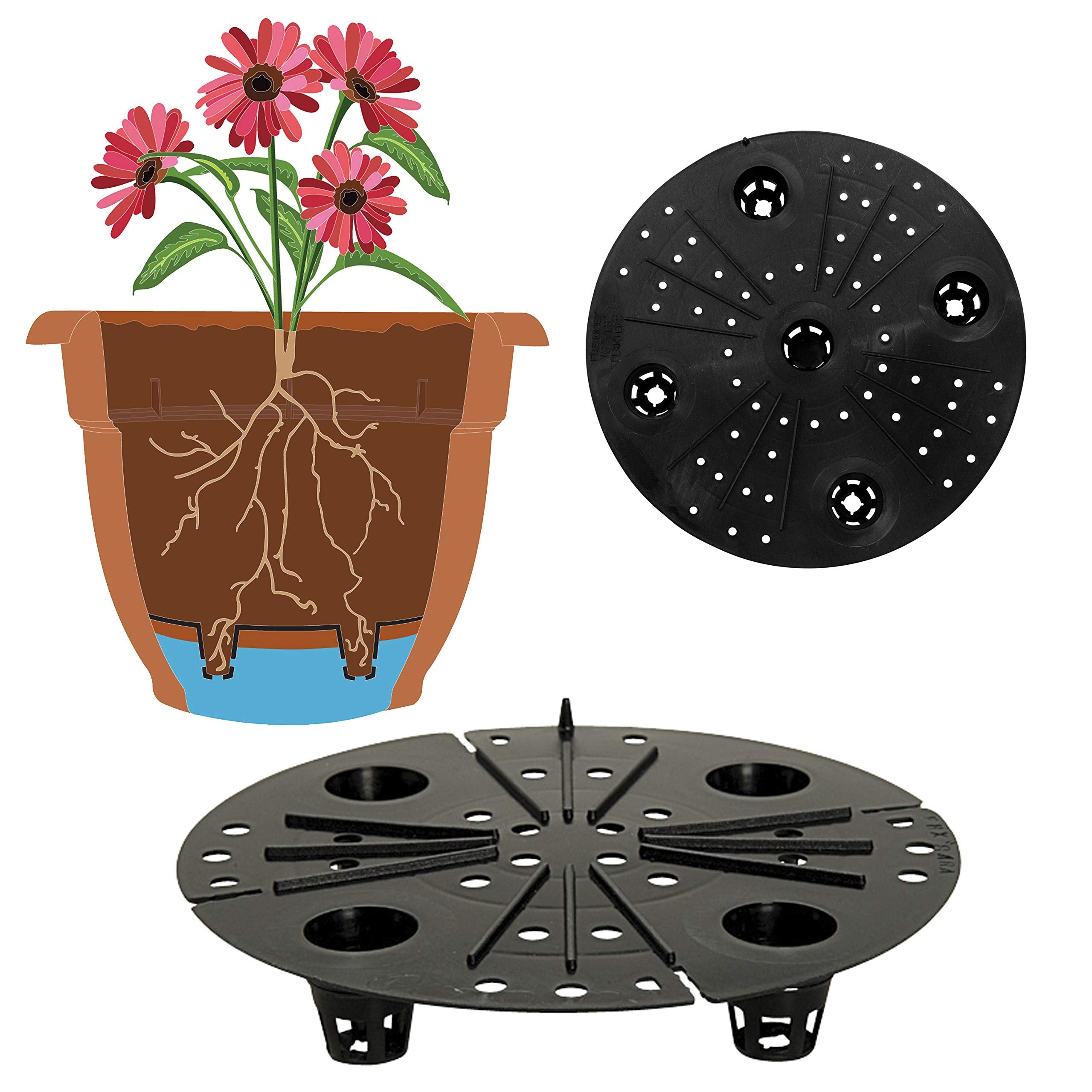 Bloem Ariana planter with rolled rim adds style and durability