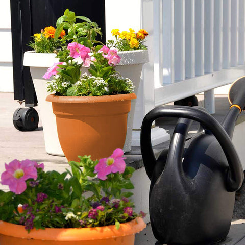UV-resistant resin Bloem Ariana planter endures outdoor use and color retention