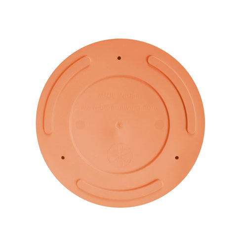 Planter measures 9.5 inches wide and 9.5 inches tall for medium plants