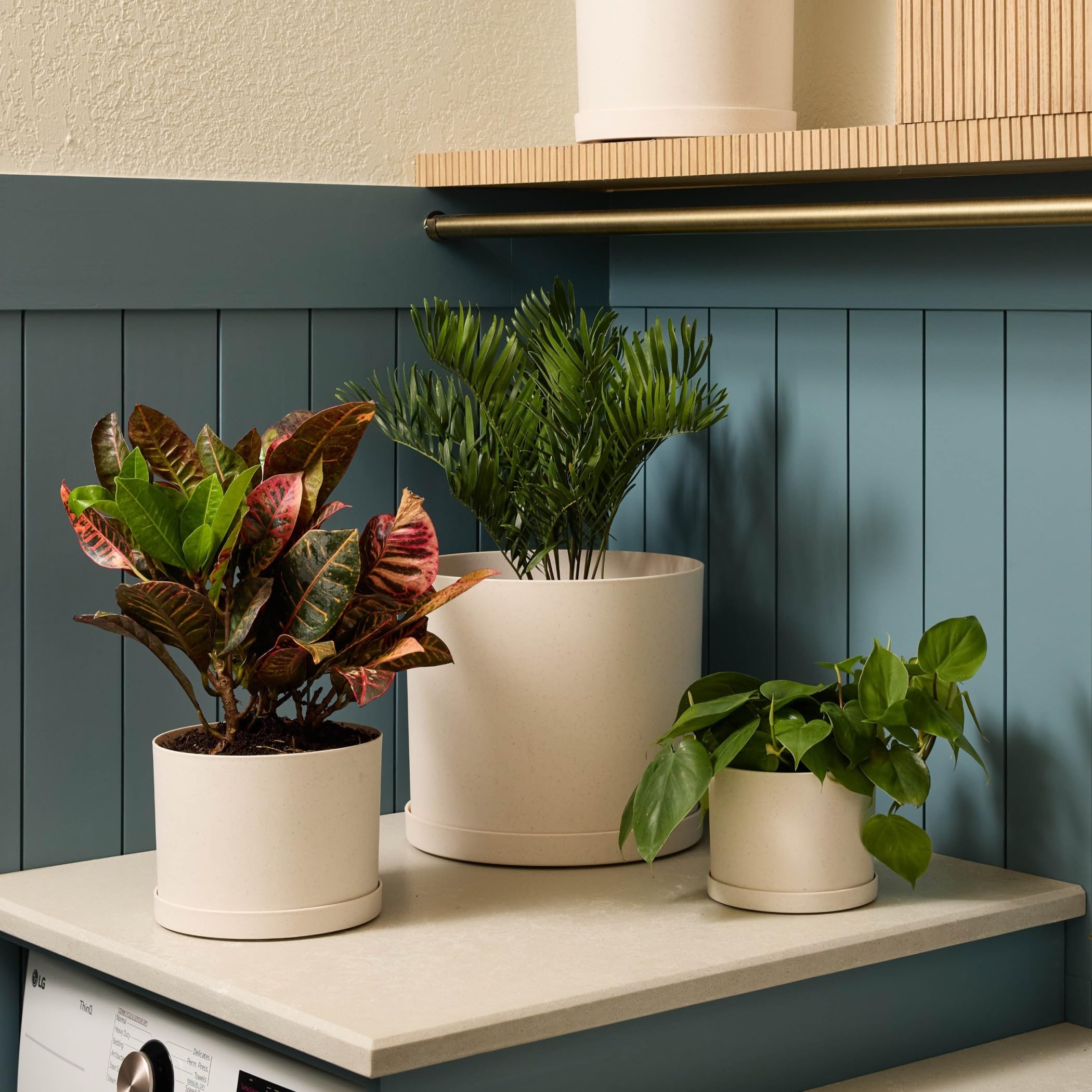 Bloem Mathers removable saucer demonstrates drainage control for outdoor plants.