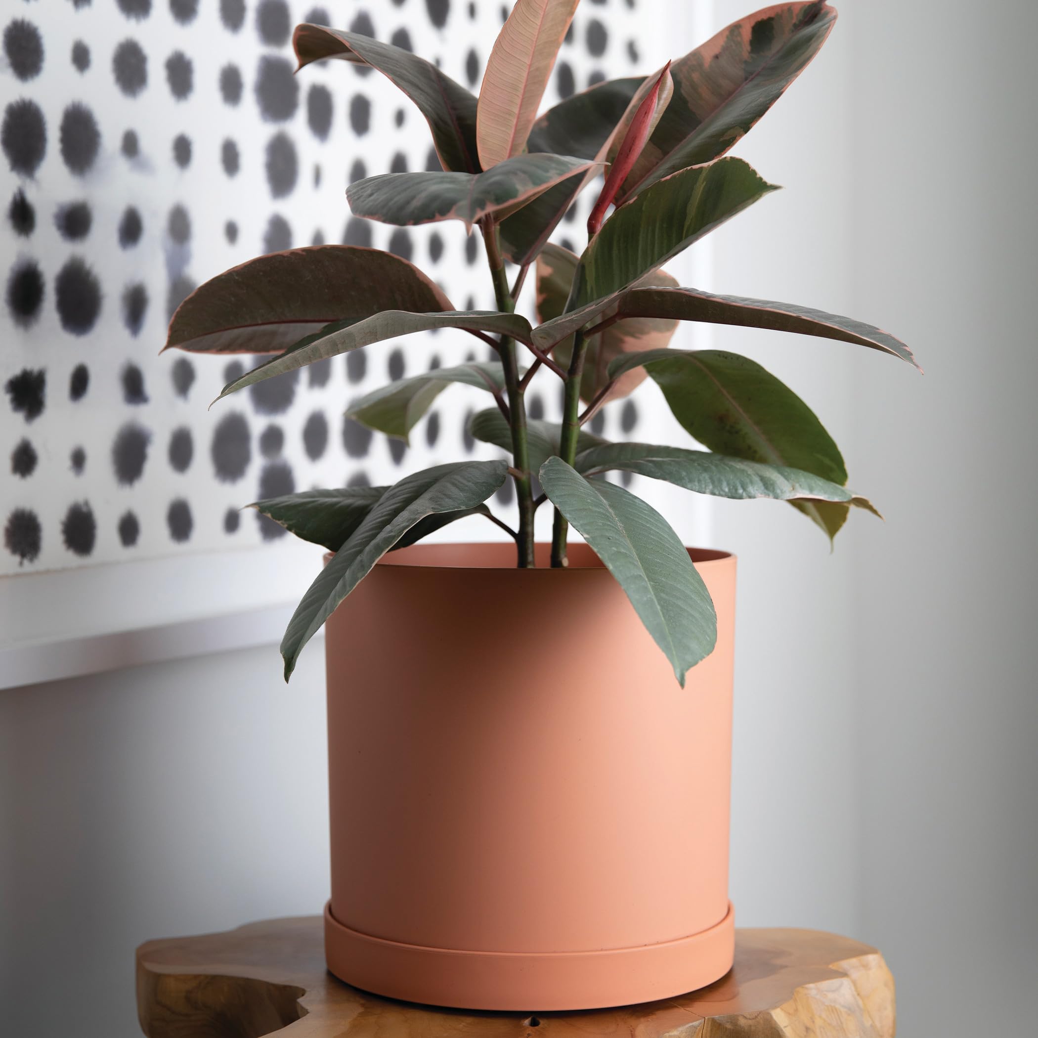 Made in USA Bloem Mathers planter for versatile spaces