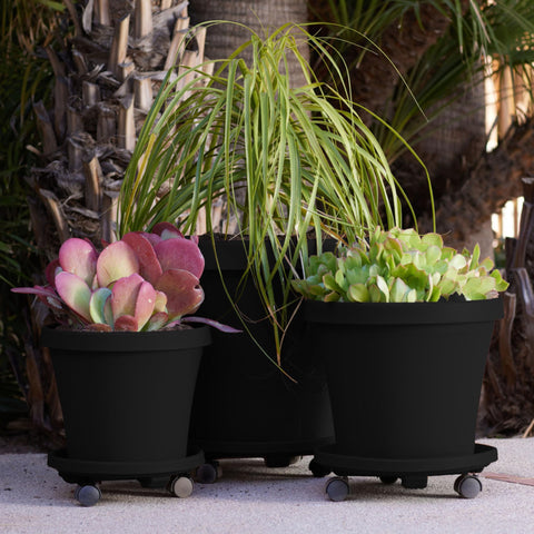 Bloem round planter caddy wheels water spout detail supports drainage and water management.