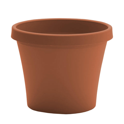 Bloem Terra 8-inch planter with drainage holes supports healthy watering.