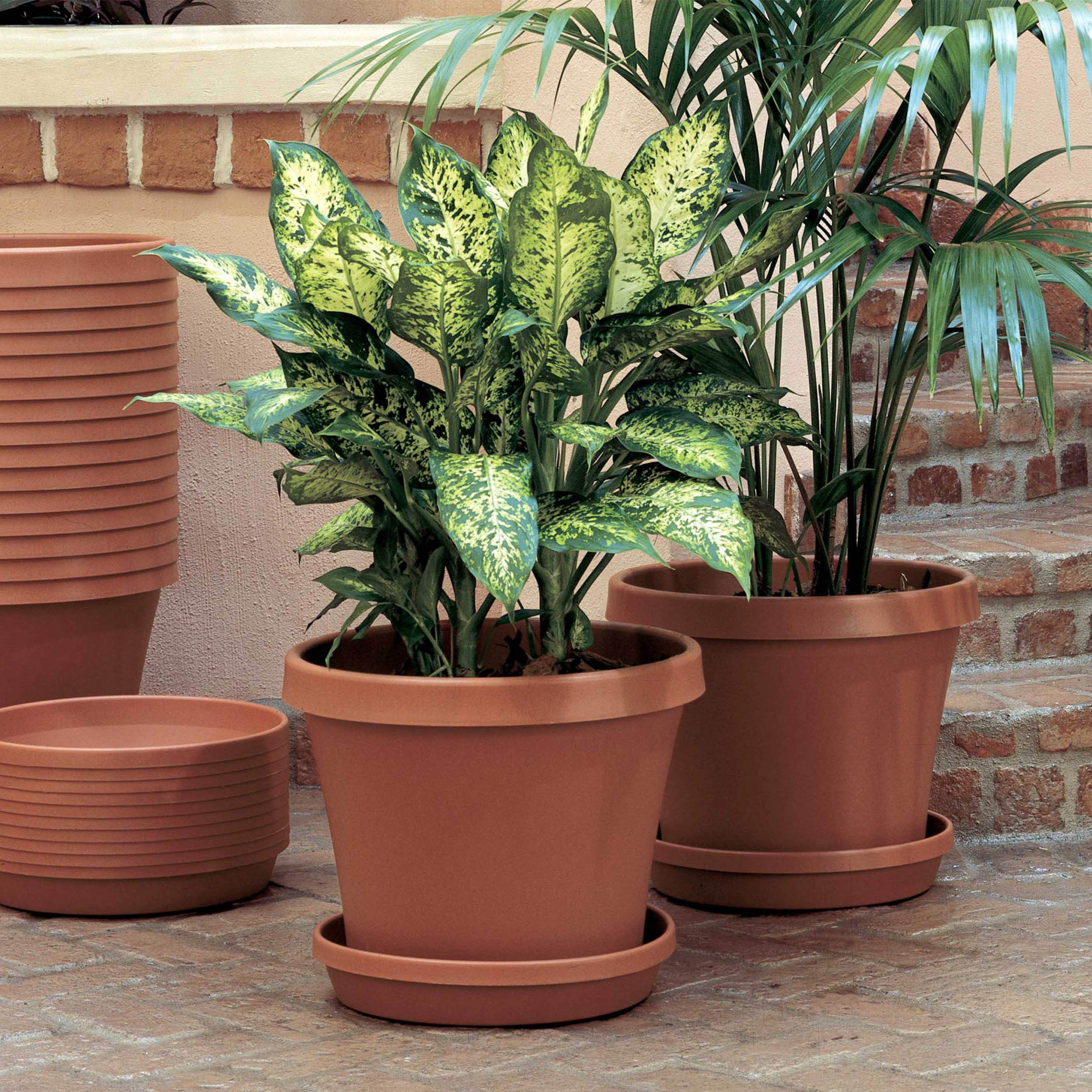 Bloem Terra resin planter showcases durable construction for outdoor longevity.