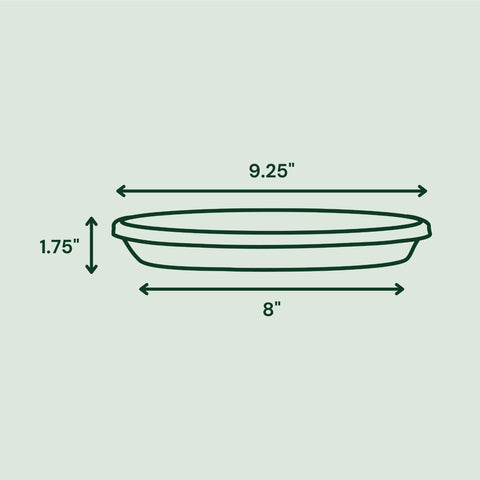 Bloem Terra saucer for indoor/outdoor use fits 10-inch pots.