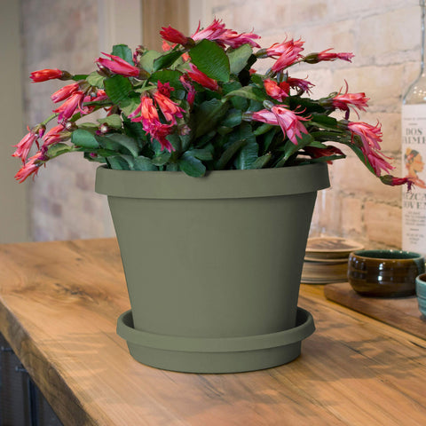 Bloem Terra saucer ribbed bottom promotes airflow and healthier soil.