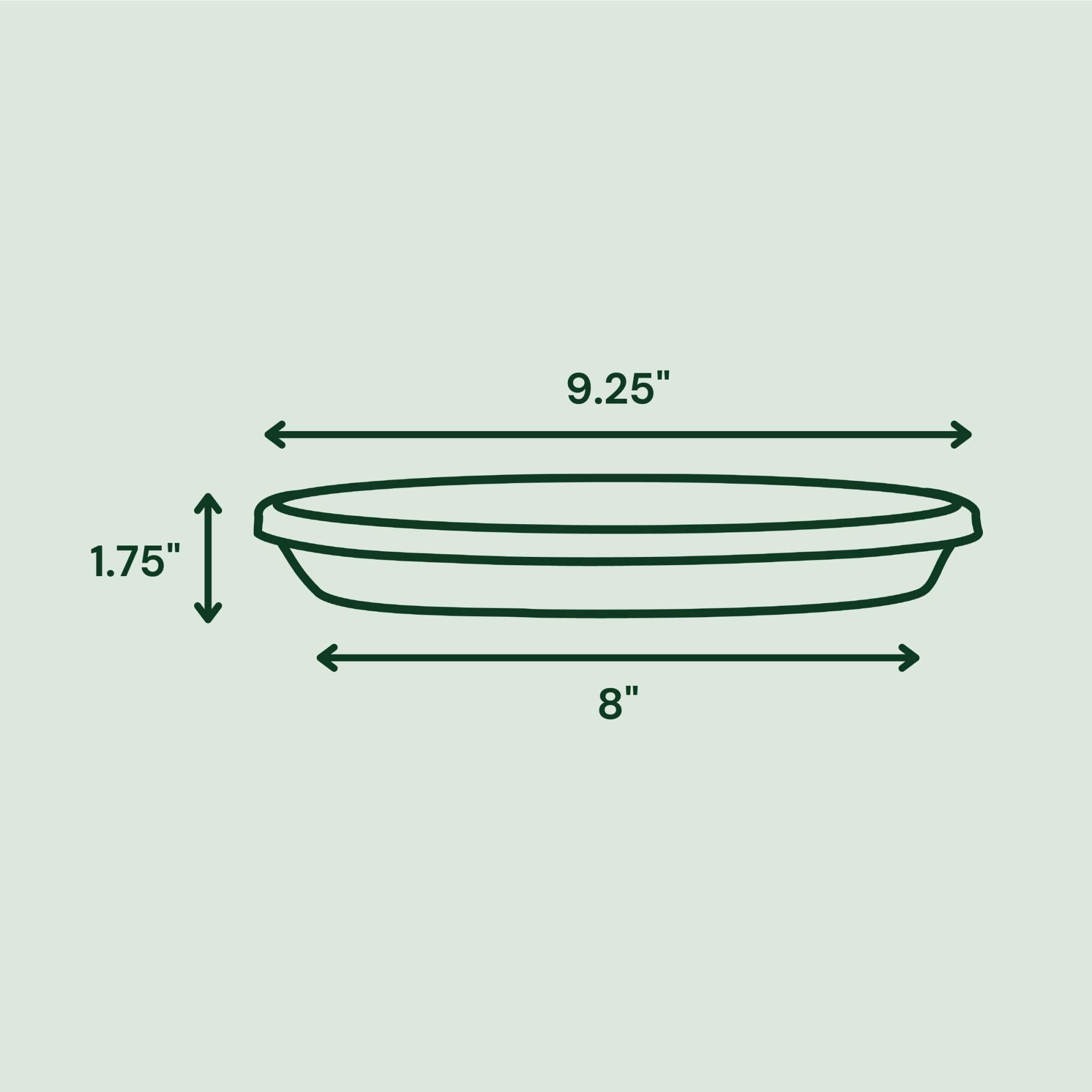 Bloem Terra Saucer Tray for indoor and outdoor use protects floors from spills.