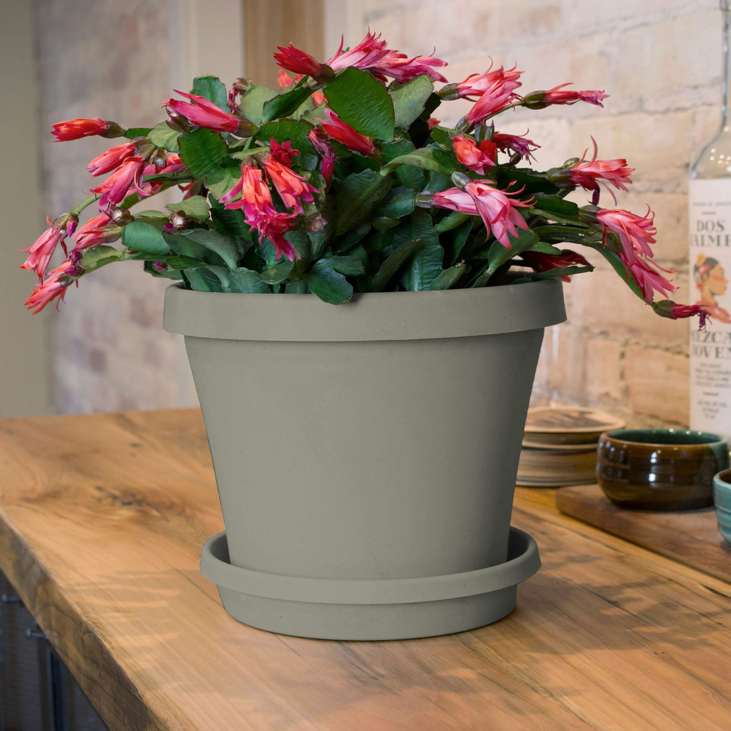 Bloem Terra Saucer Tray with ribbed bottom promotes airflow for healthier roots.