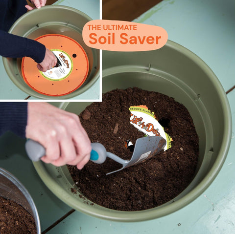Bloem Ups-A-Daisy insert in durable resin resists fading and cleans easily.