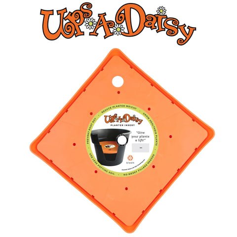Easy to clean Bloem Ups-A-Daisy insert reuses soil and simplifies maintenance.