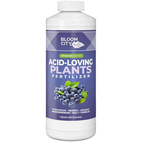 Bloom City acid-loving plant fertilizer bottle enhances soil readiness for blueberries and hydrangeas.