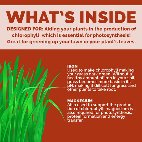 Bloom City liquid iron applied to a lawn showing a healthy green boost.