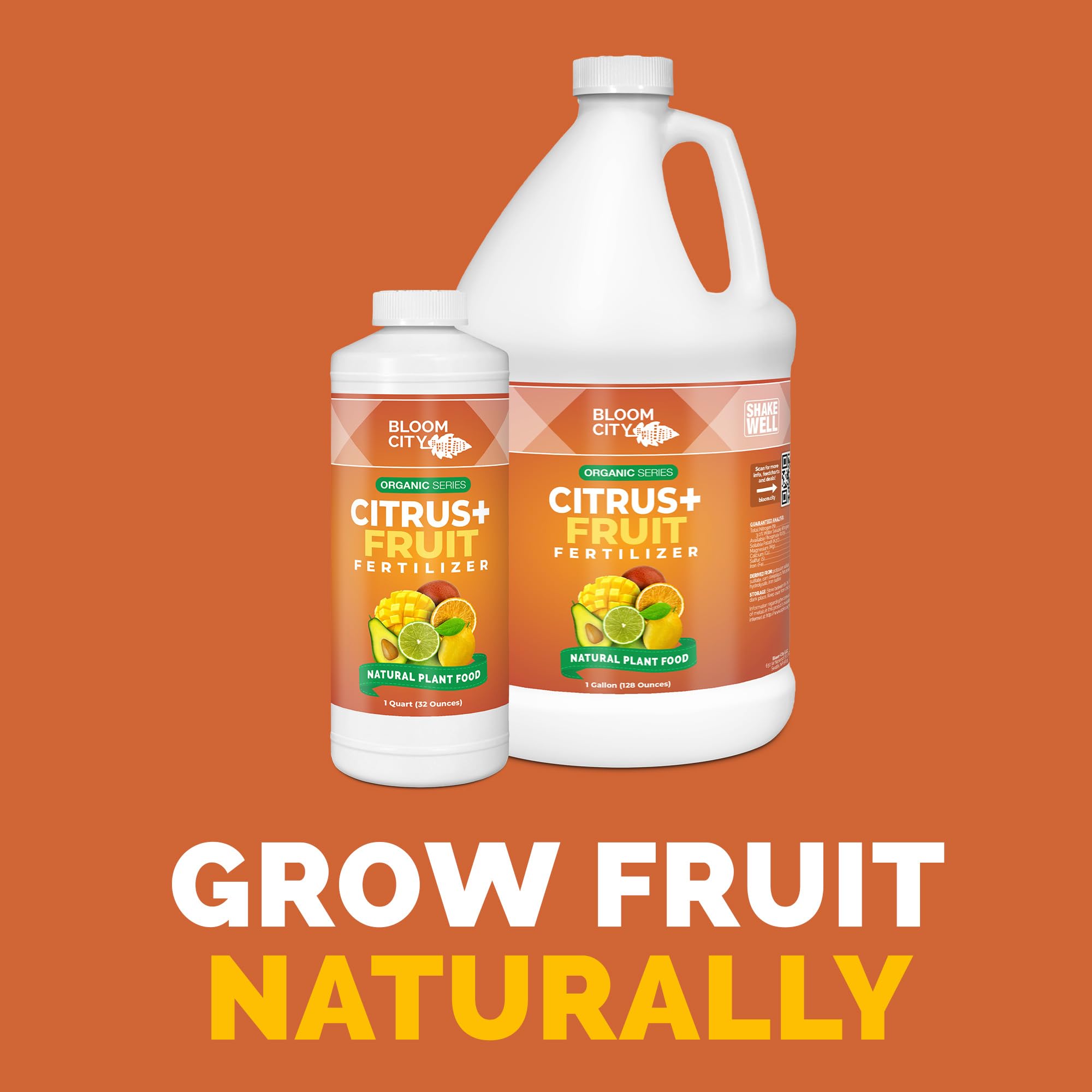 Bloom City liquid plant food application on a healthy fruit tree for steady growth.