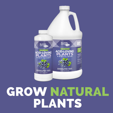 Bloom City liquid soil acidifier pour enables precise feeding for acid-loving plants.