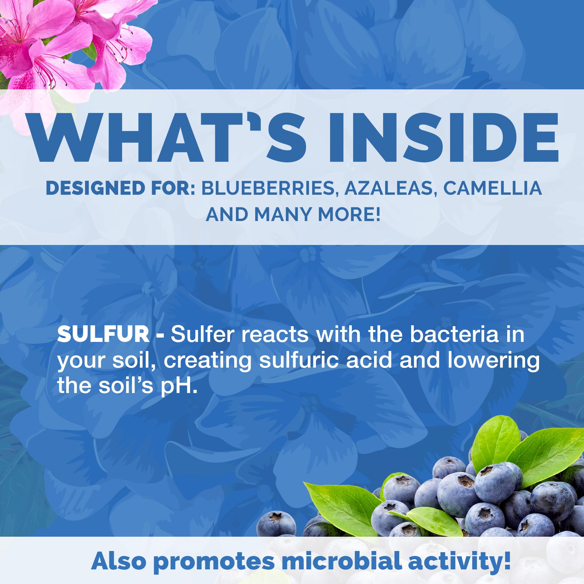Bloom City Organic Soil Acidifier used in a garden bed to improve root environment