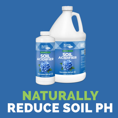 Bloom City Organic Soil Acidifier pour spout enabling easy application for hydrangeas and berries