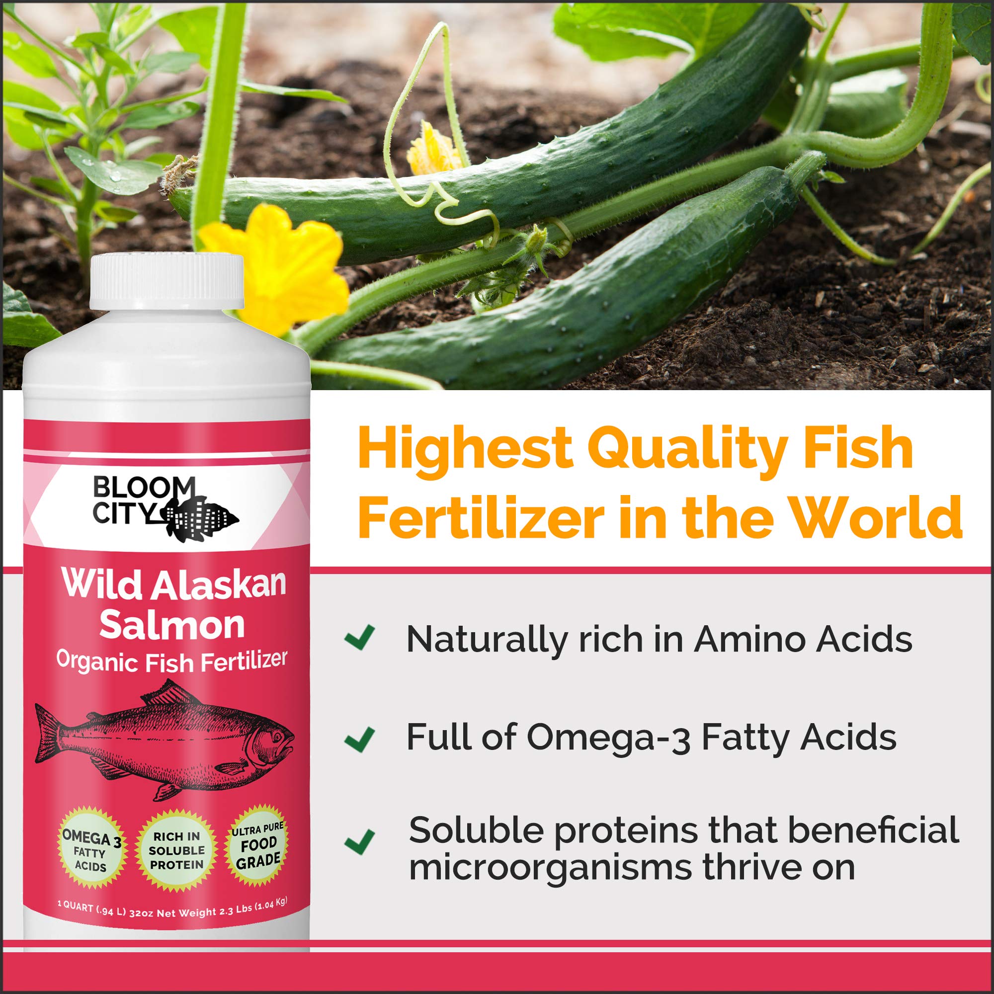Bloom City Organic Wild Fish Fertilizer pour demonstrates simple garden application.