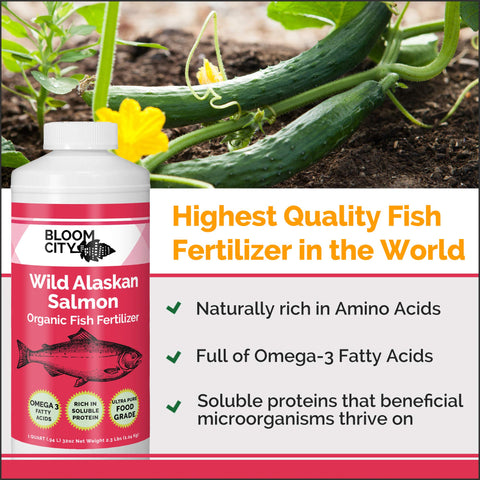 Bloom City Organic Wild Fish Fertilizer pour demonstrates simple garden application.
