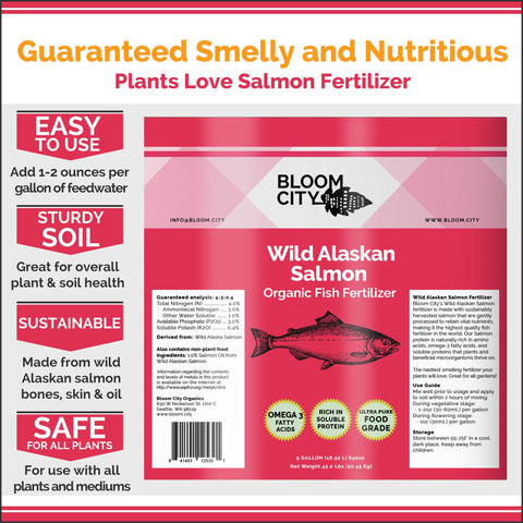 Bloom City Organic Wild Fish Fertilizer soil close-up shows thriving soil life.
