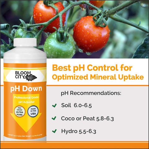 Bloom City pH Down dosing spout enables precise pH adjustment in water