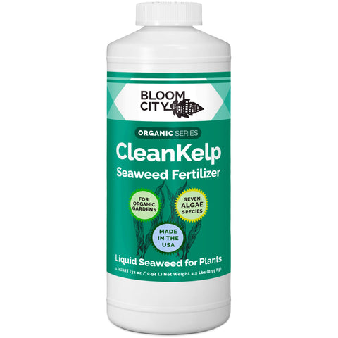 Bloom City seaweed fertilizer bottle front shows the organic formulation for healthier roots.
