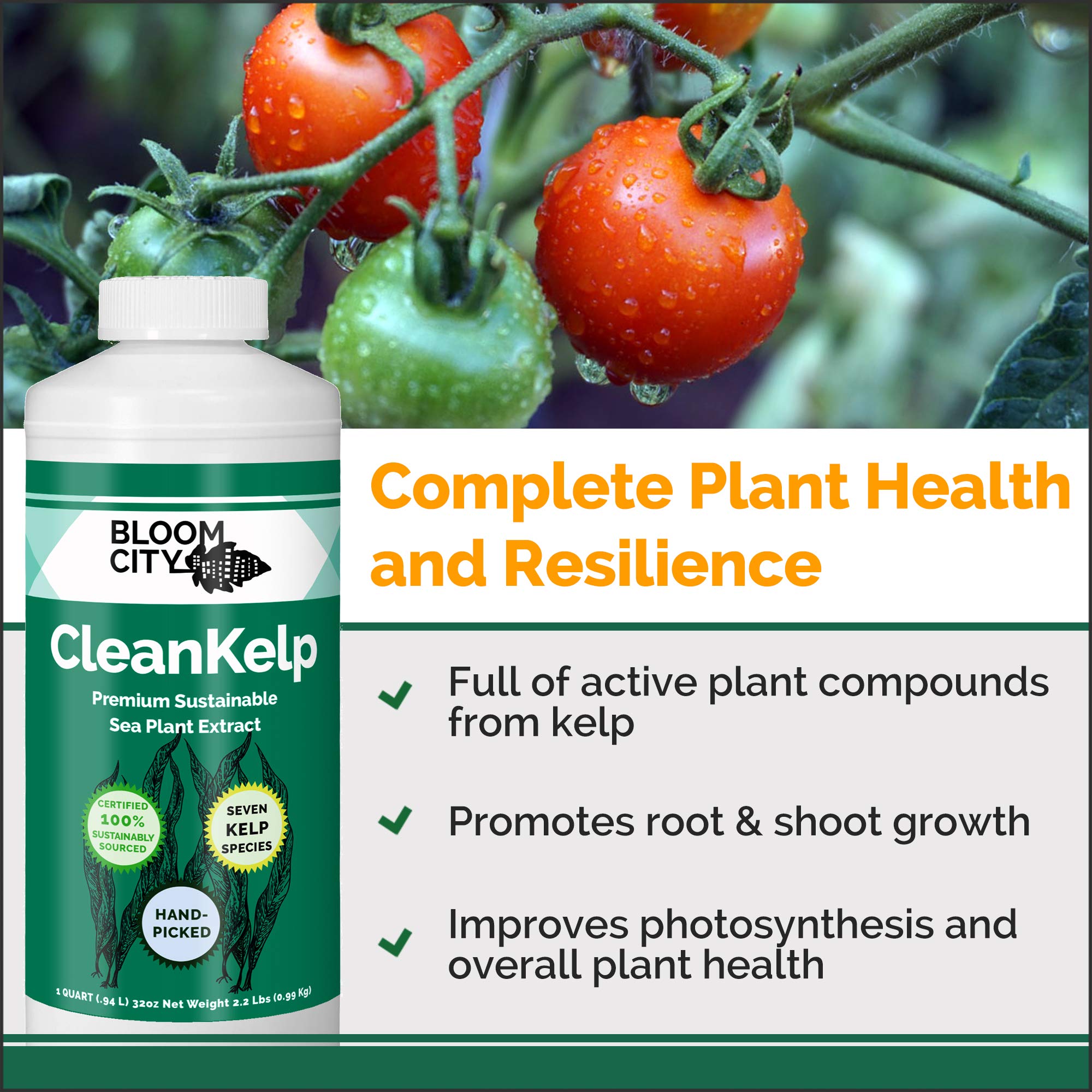 Bloom City seaweed fertilizer drops show precise dosing for steady plant growth.