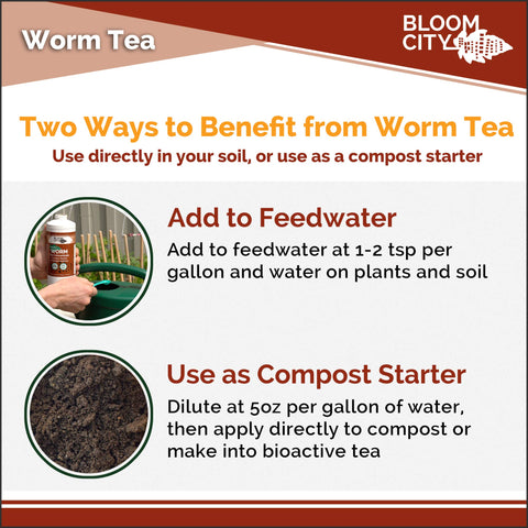 Bloom City soil-application scene shows indoor plant care